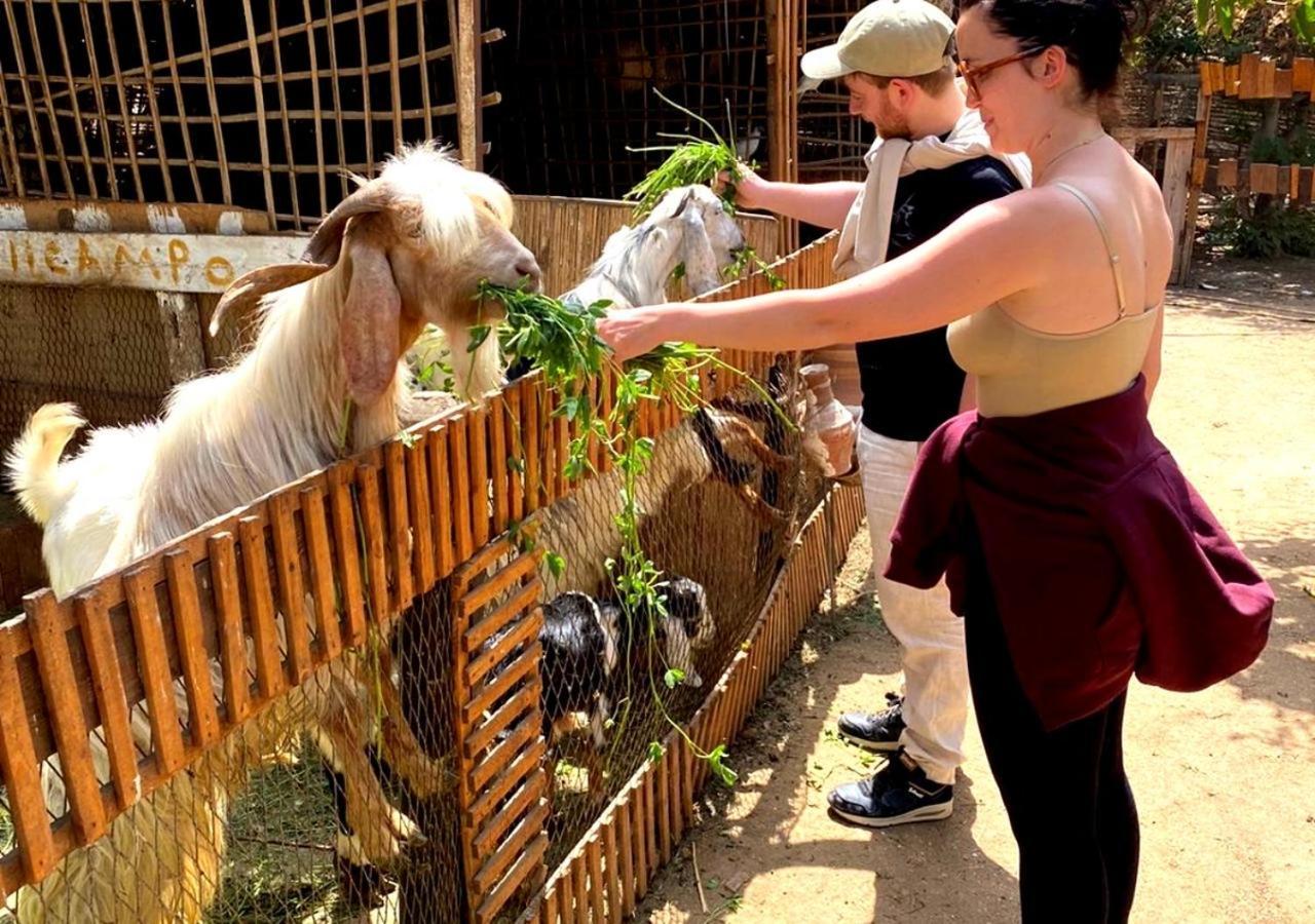 Il Campo Boutique Ecolodge El Hawamdeya 외부 사진